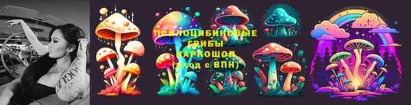 дурь Алексеевка