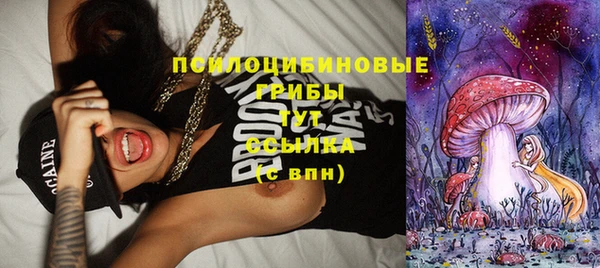 синтетический гашиш Алексин