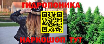 мяу мяу кристалл Гусь-Хрустальный