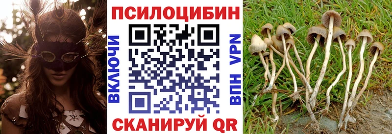 наркошоп  Нижний Новгород  Галлюциногенные грибы прущие грибы 