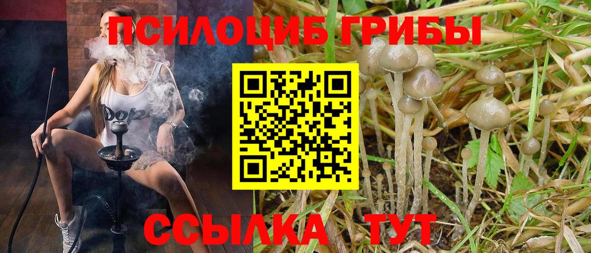 Галлюциногенные грибы прущие грибы Нижний Новгород